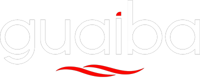 Guaíba Soluções
